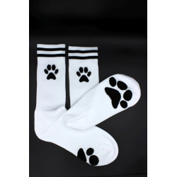 Sk8erboy Socks Puppy Sk8terboy